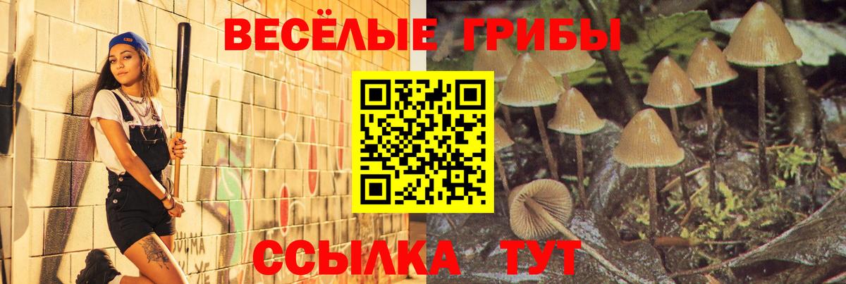 Псилоцибиновые грибы Cubensis Орск