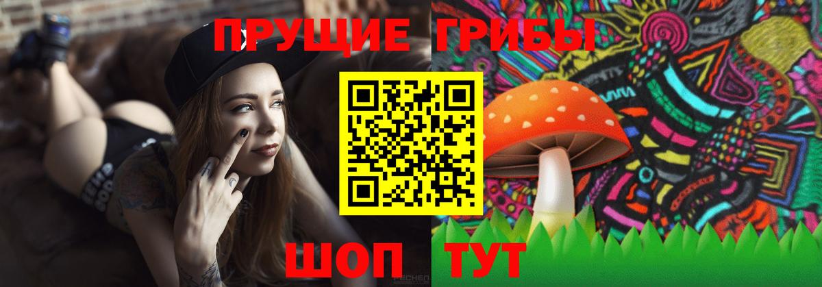Галлюциногенные грибы прущие грибы  Вход с VPN  Орск  Галлюциногенные грибы мухоморы 